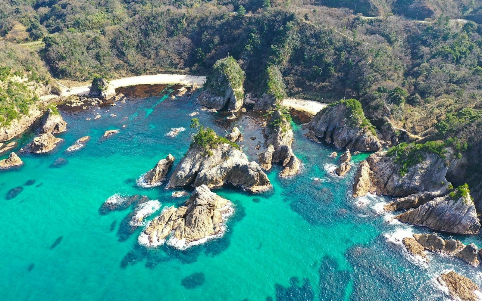 🏖️ 오타고 해변 (오타고 카이간) 이미지 1